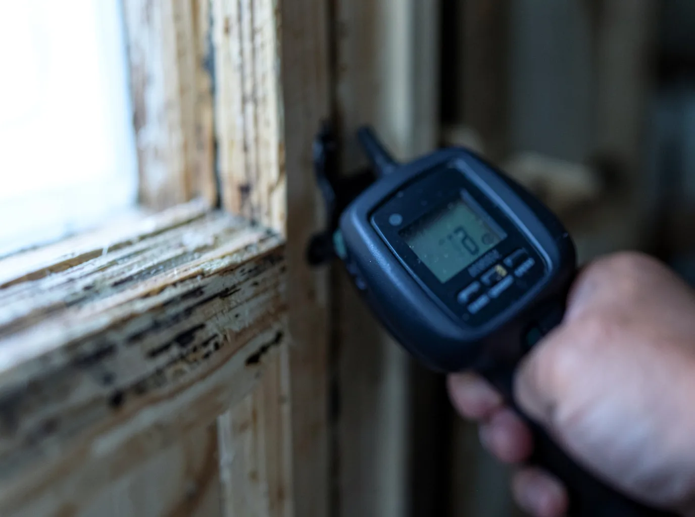 Moisture Inspection And Documentation in Petroleum, WV